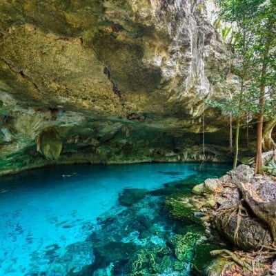 cenote tulum cenotes cancun mexiko yucatan schnorcheln klaren blauen befindet sno povos nadar zwemmen tortuga gringo allinclusivegal schiereiland duidelijk fonkelend