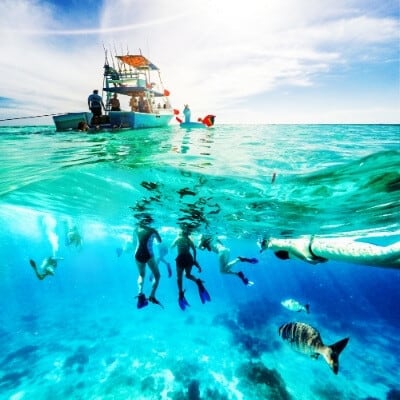 Snorkeling In Cozumel