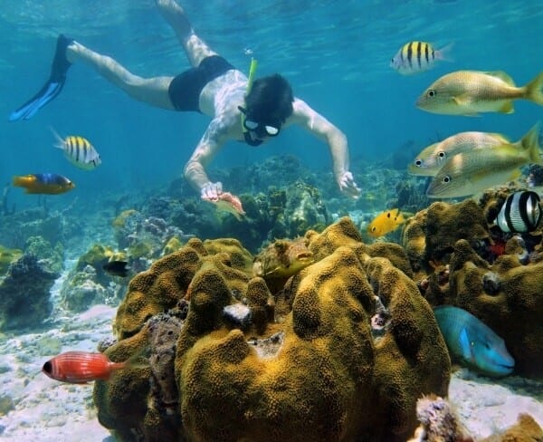 places to snorkel in cancun