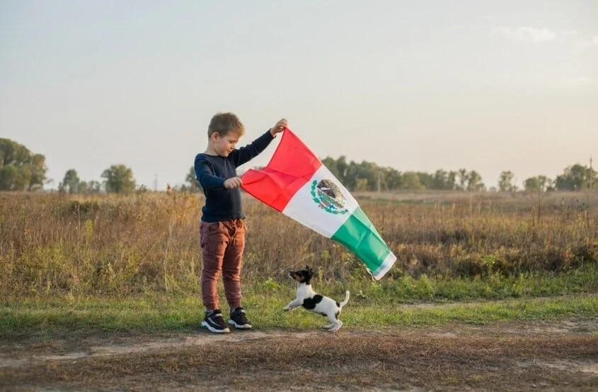 travel from mexico to us with dog