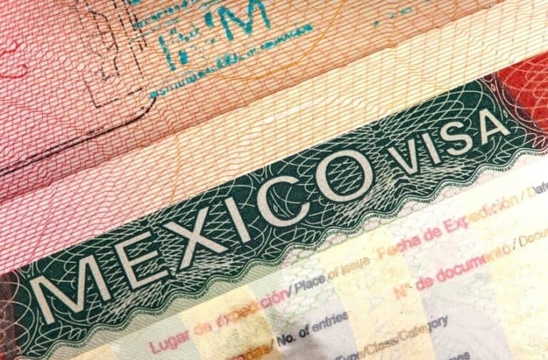 how-to-get-a-job-in-mexico-requirements-and-expectations-mexico