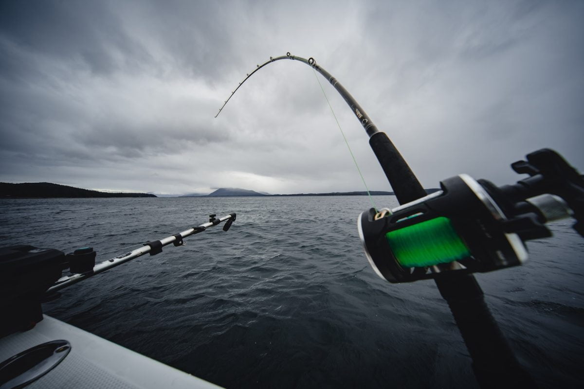 closeup photo of black and green fishing rod during fishing charter in ensenada