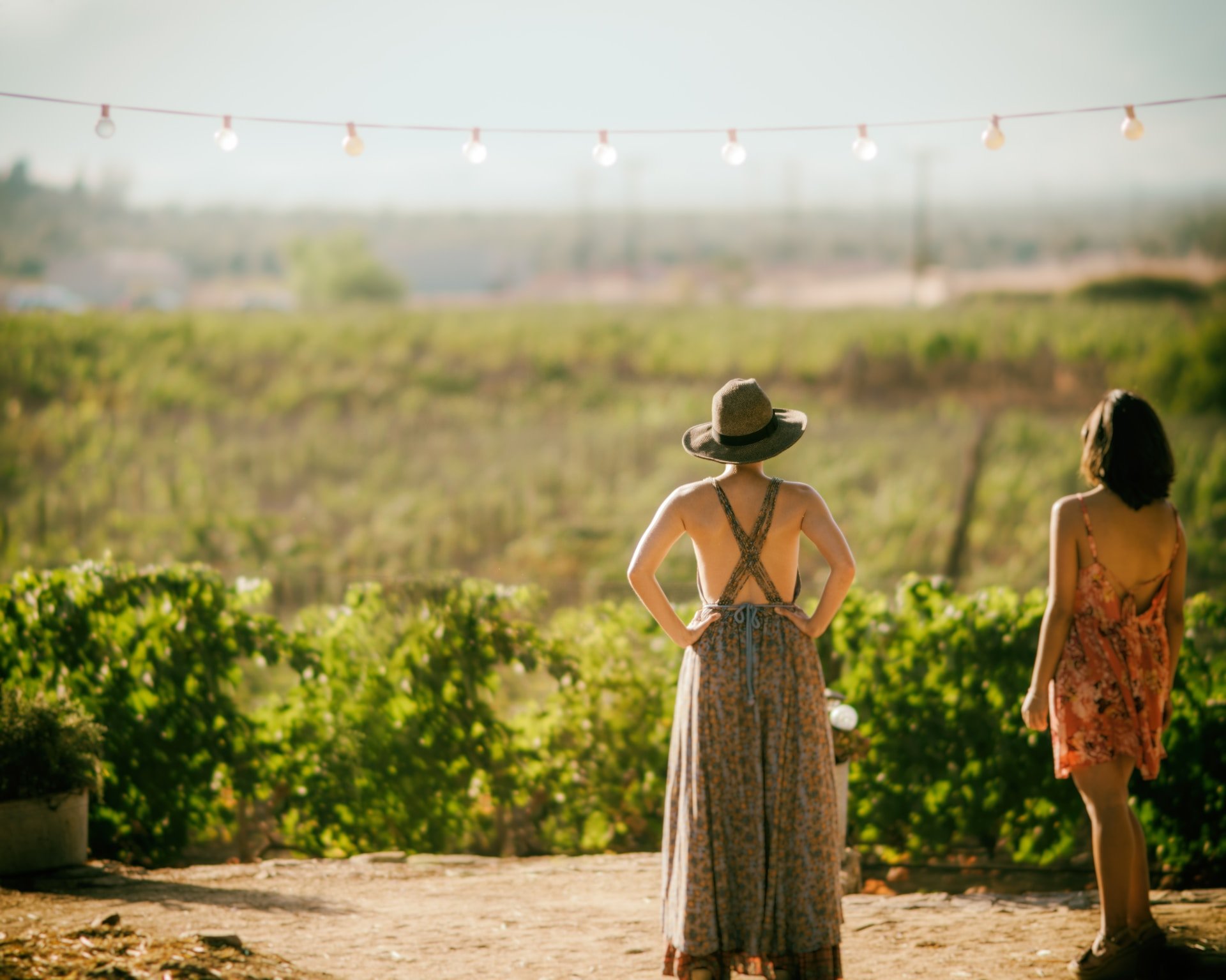ensenada wine tours