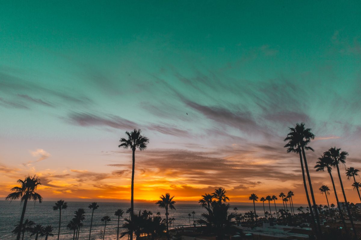 palms of a beachfront hotel in san felipe mexico during sunset