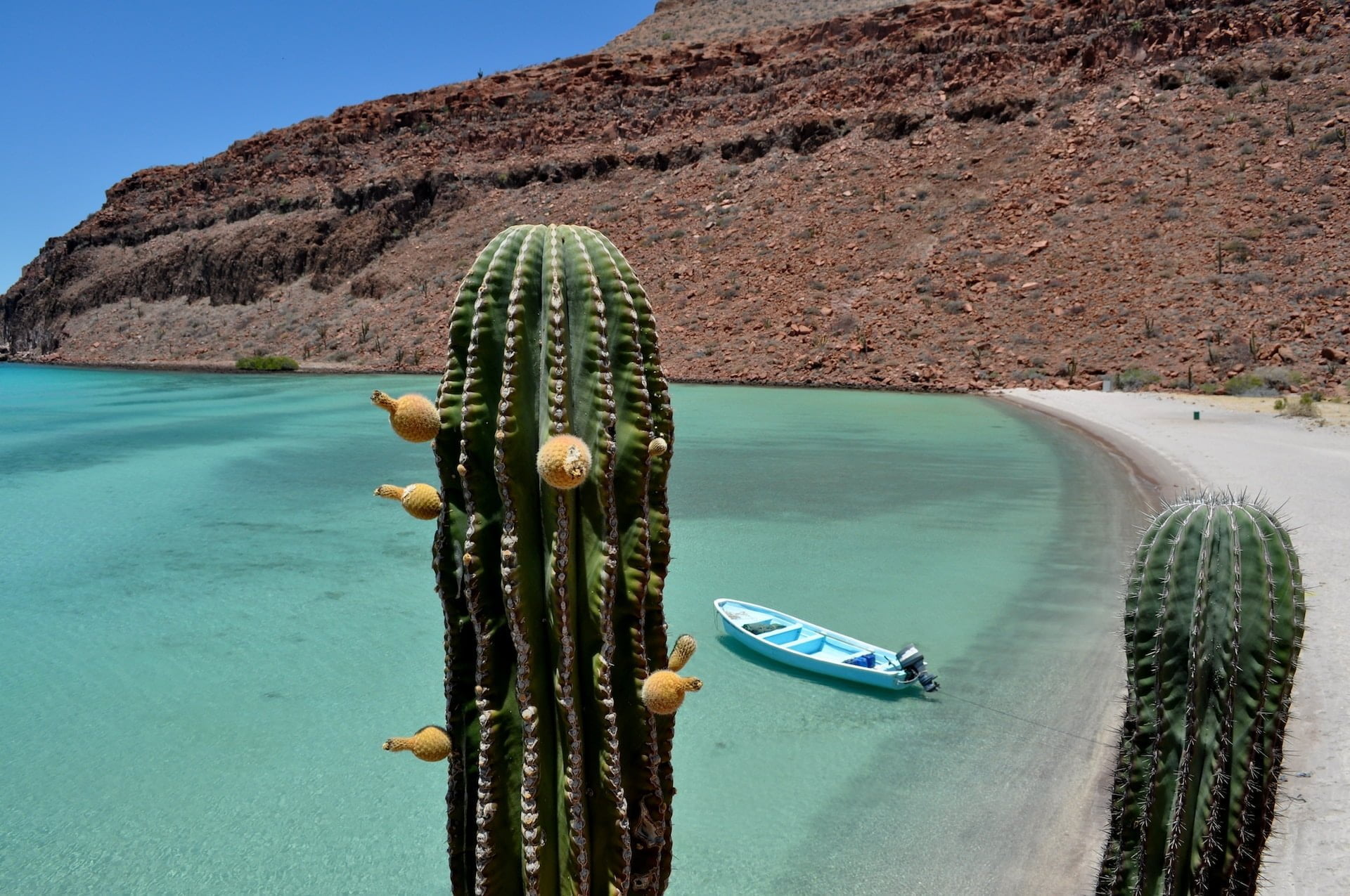 things to do in baja california