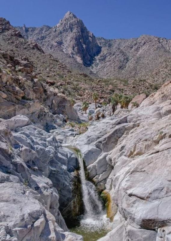 Beauty of Guadalupe Canyon Oasis, mexicali