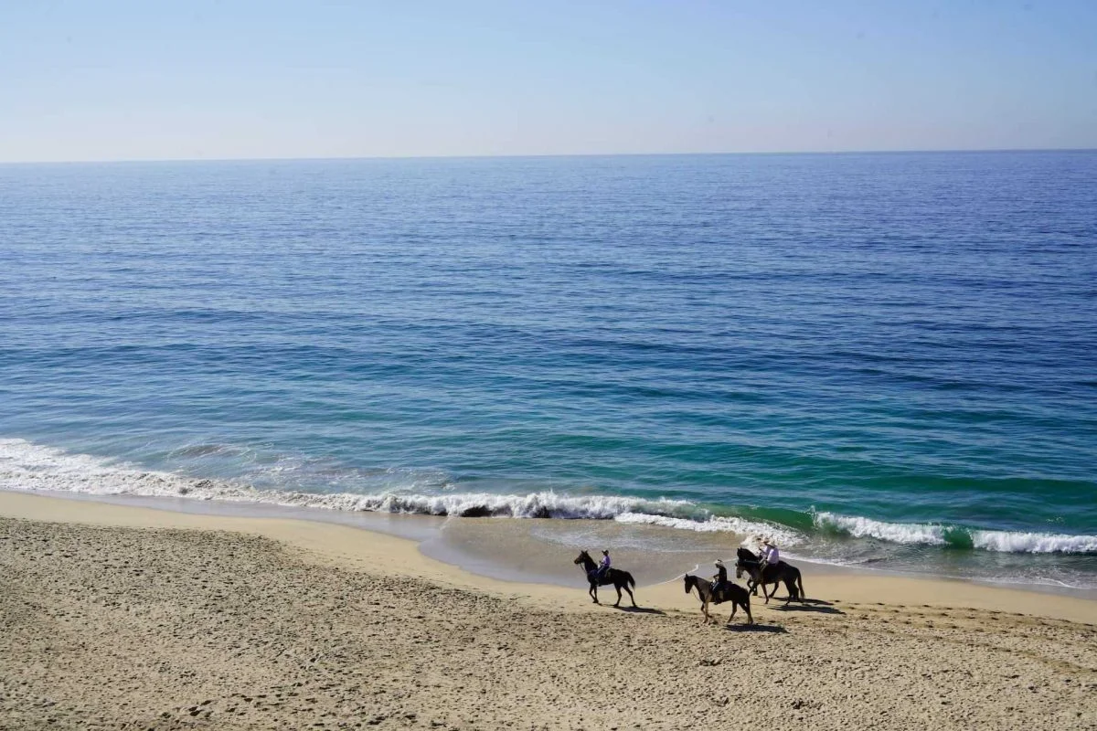 a group of people riding horses on top of a sandy beach in Rosarito