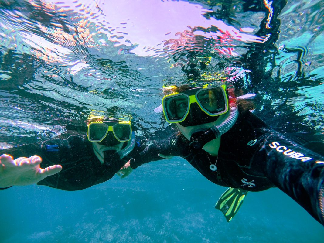 Snorkeling or Scuba Diving in Cabo Pulmo