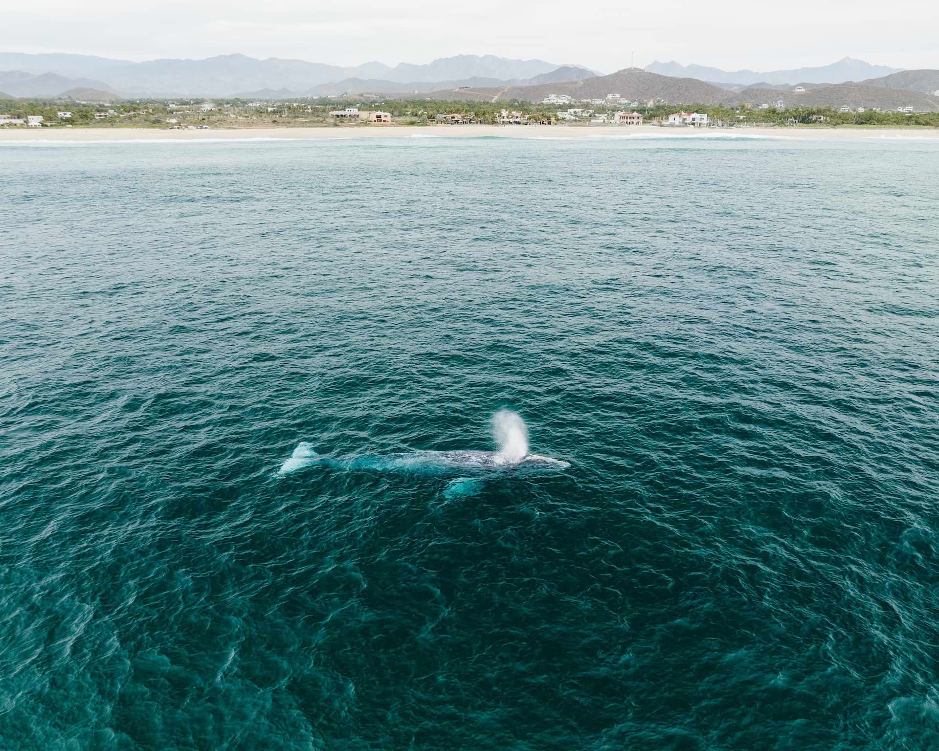 pescadero mexico